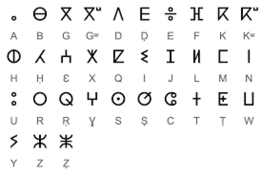 ⵜⴰⵎⴰⵣⵉⵖⵜ ⴷⴰⵔⵉⴵⴰ ⴰⴷ ⵜⵉⴼⵉⵏⴰⵖ